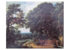 Wooded Hilly Landscape