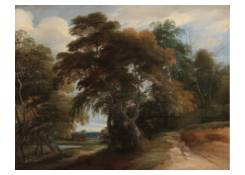 A Wooded Landscape 