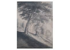 drawings CB:577 Landscape with Trees on a Slope