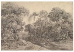 drawings CB:590 Forest Landscape