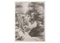 drawings CB:610 Road in the Forest