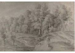 Work 629: Hilly Forest Landscape