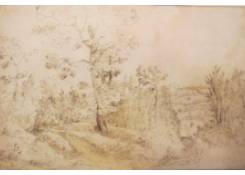 Work 637: A Wooded Landscape 