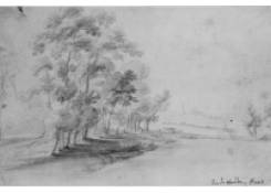 Landscape with Trees