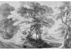 Work 948: Forest View